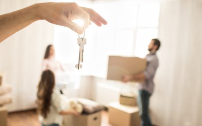 ¿Qué puedo hacer si descubro vicios ocultos en mi casa recién comprada?