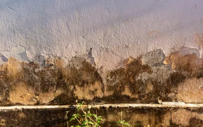 Filtraciones por la fachada: capilaridad y condensación