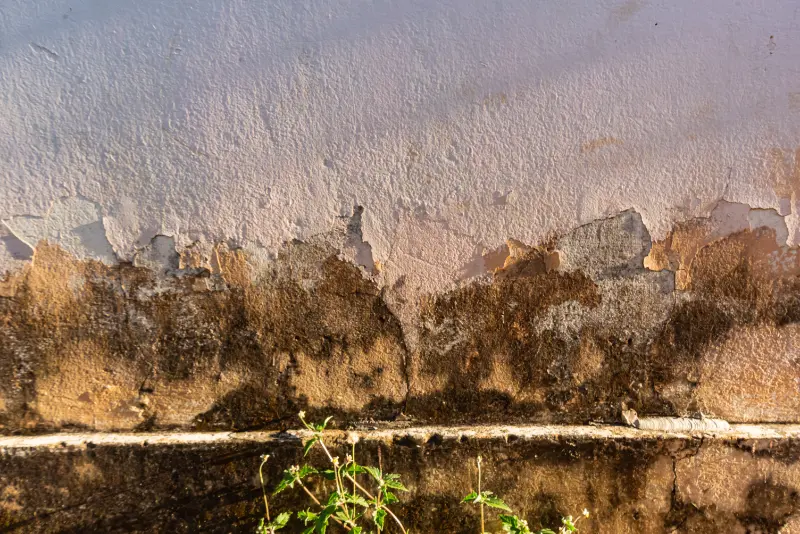 Filtraciones por la fachada: capilaridad y condensación