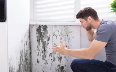 Los daños por agua siguen creciendo y la comunidad no actúa: qué hacer